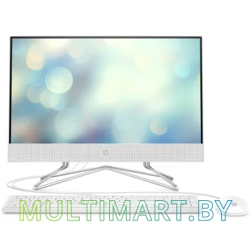 Моноблок HP 22-df0025ur (14P64EA)